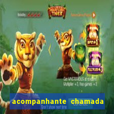 acompanhante chamada de video